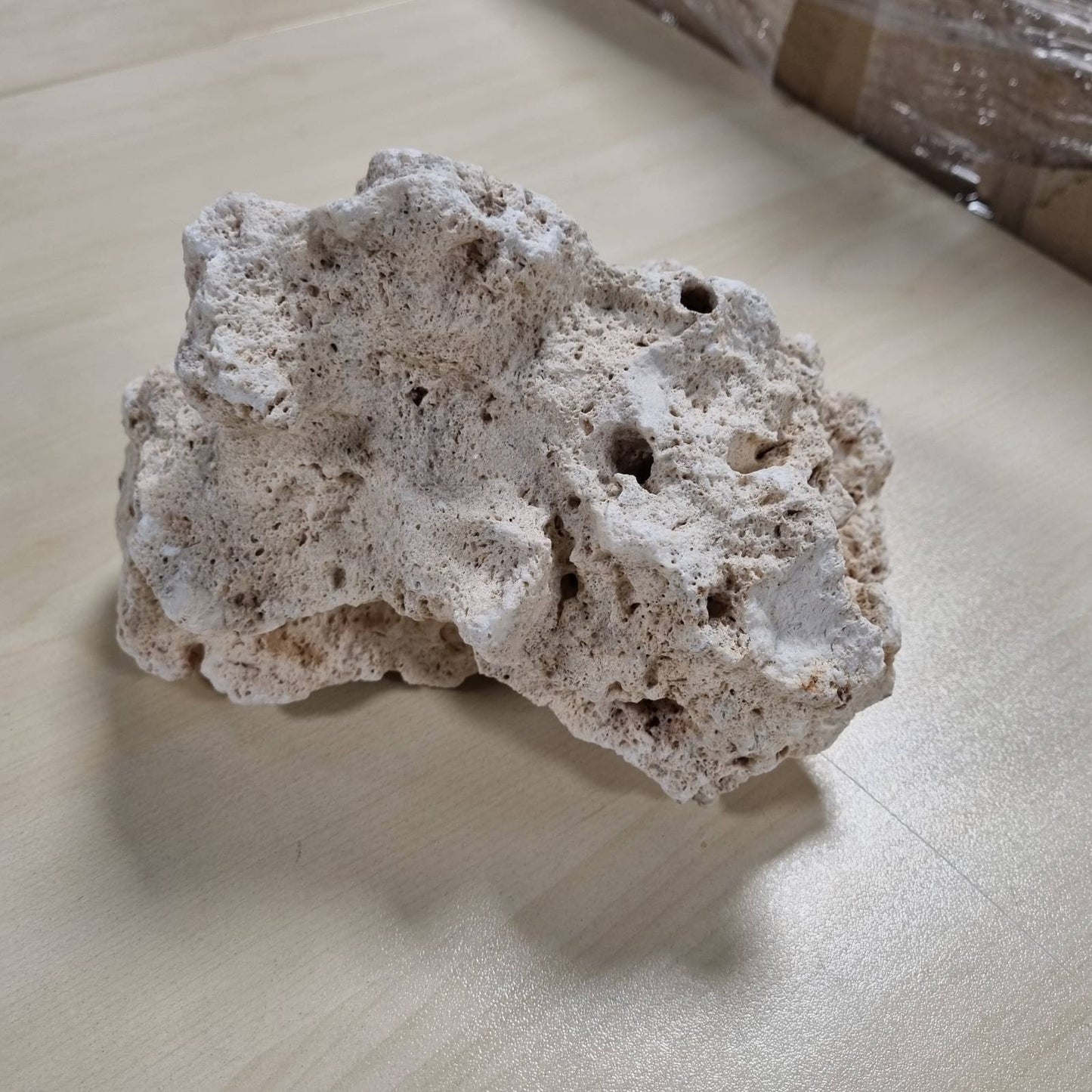 198470 - SERA - Gurë me Vrima Rock Hole Stone, Ngjyrë Bezhë me Sipërfaqe të Lëmuar, Madhësi L, Pesha 2-3kg
