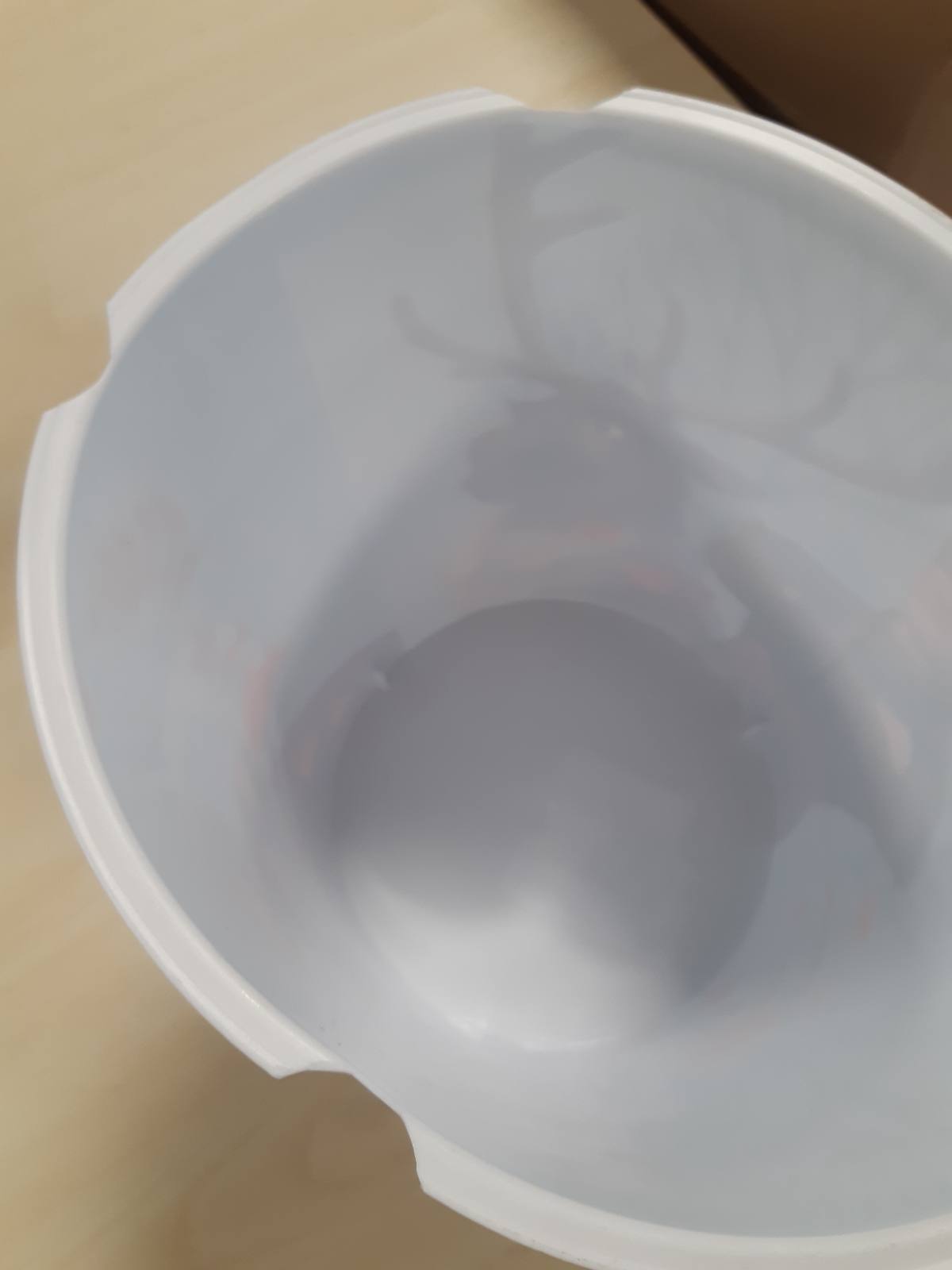 216679 - KOSH PLEHRASH i ngrirë për fëmijë - Plastik
