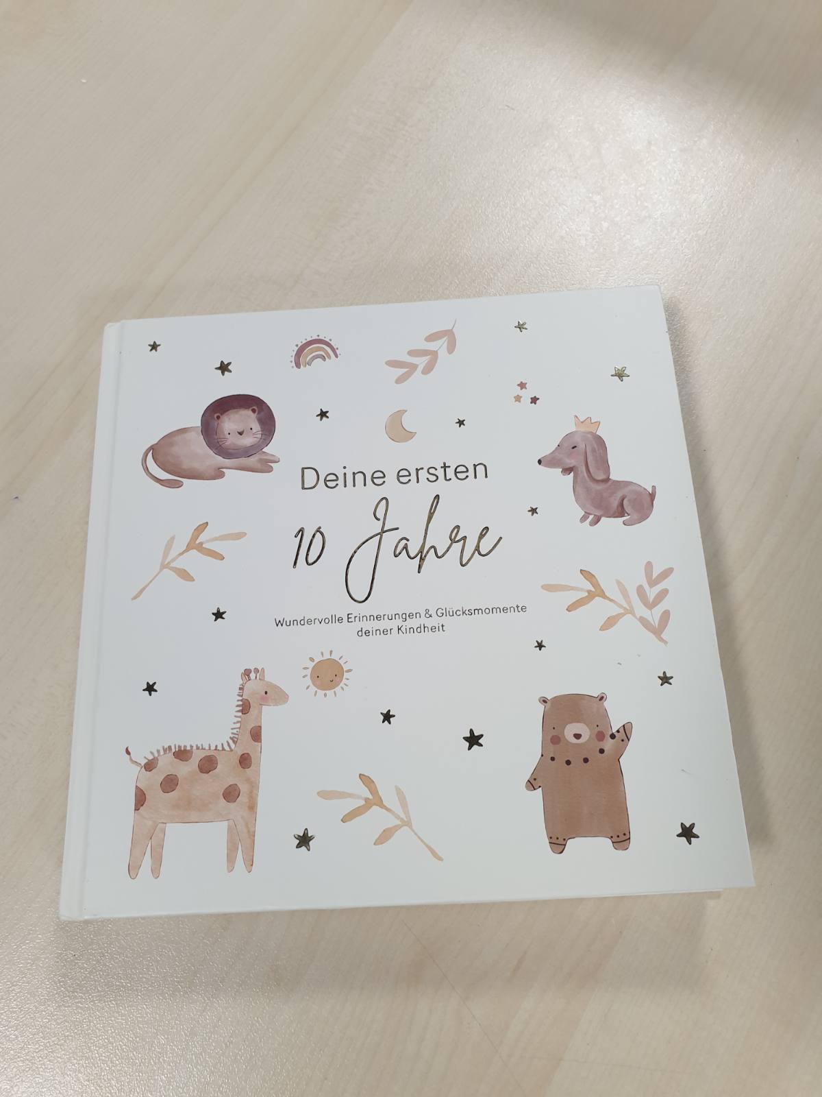 218314 - MeinBaby123® - Albumi për Fëmijë 10 Vjetët Tuaja të Para, I veshur me ar me cilësi të lartë