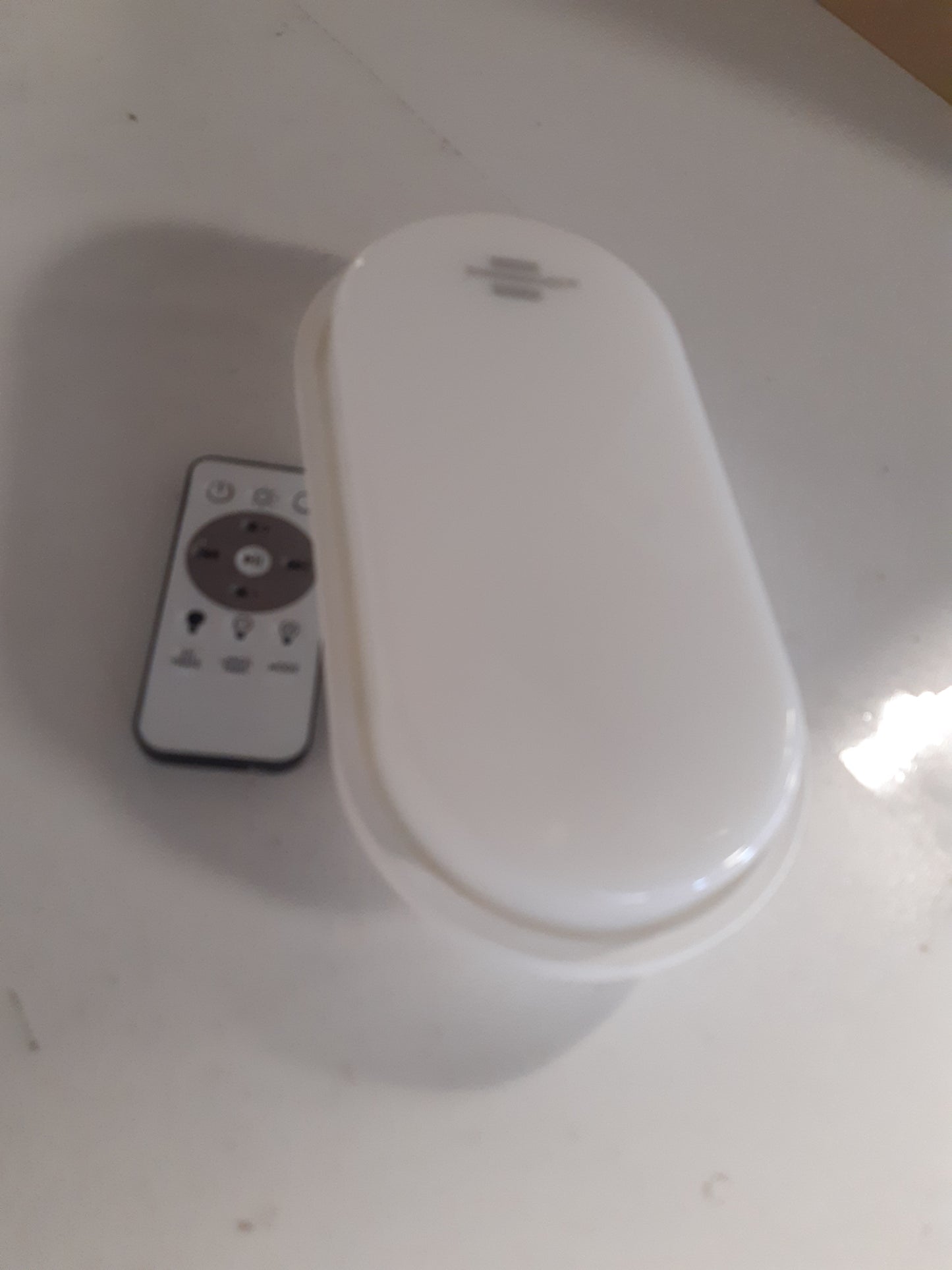 224552 - BRENNENSTUHL Dritë Ovale LED OL 1650, 15W, 1680lm, 4000K, IP65, Dritë Bodrumi për Montim në Mur