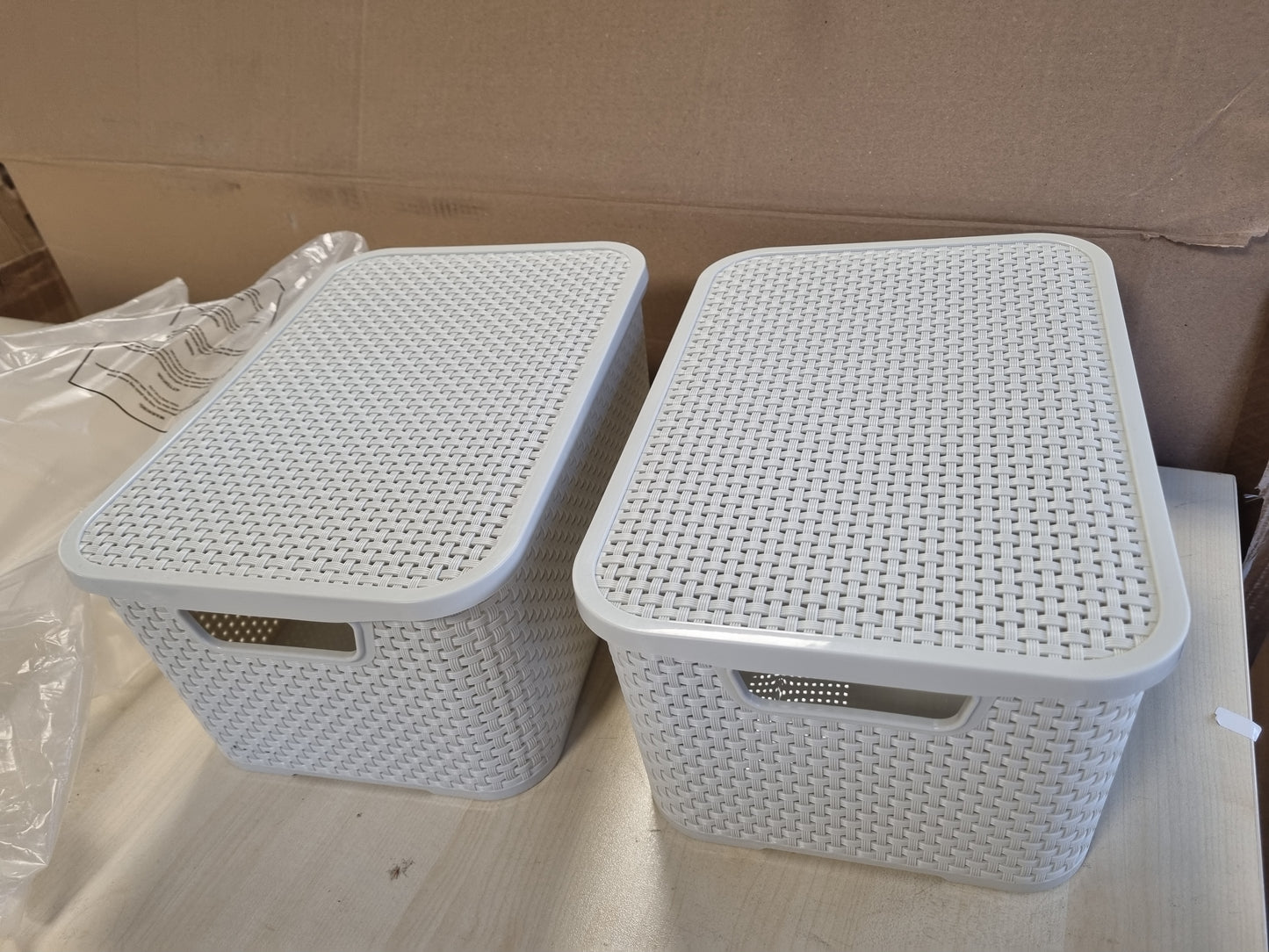 256737 - BRANQ Shportë me kapak për sende shtëpiake, dizajn ratani, set me 2 copë, madhësia M, 10l, plastikë PP, krem