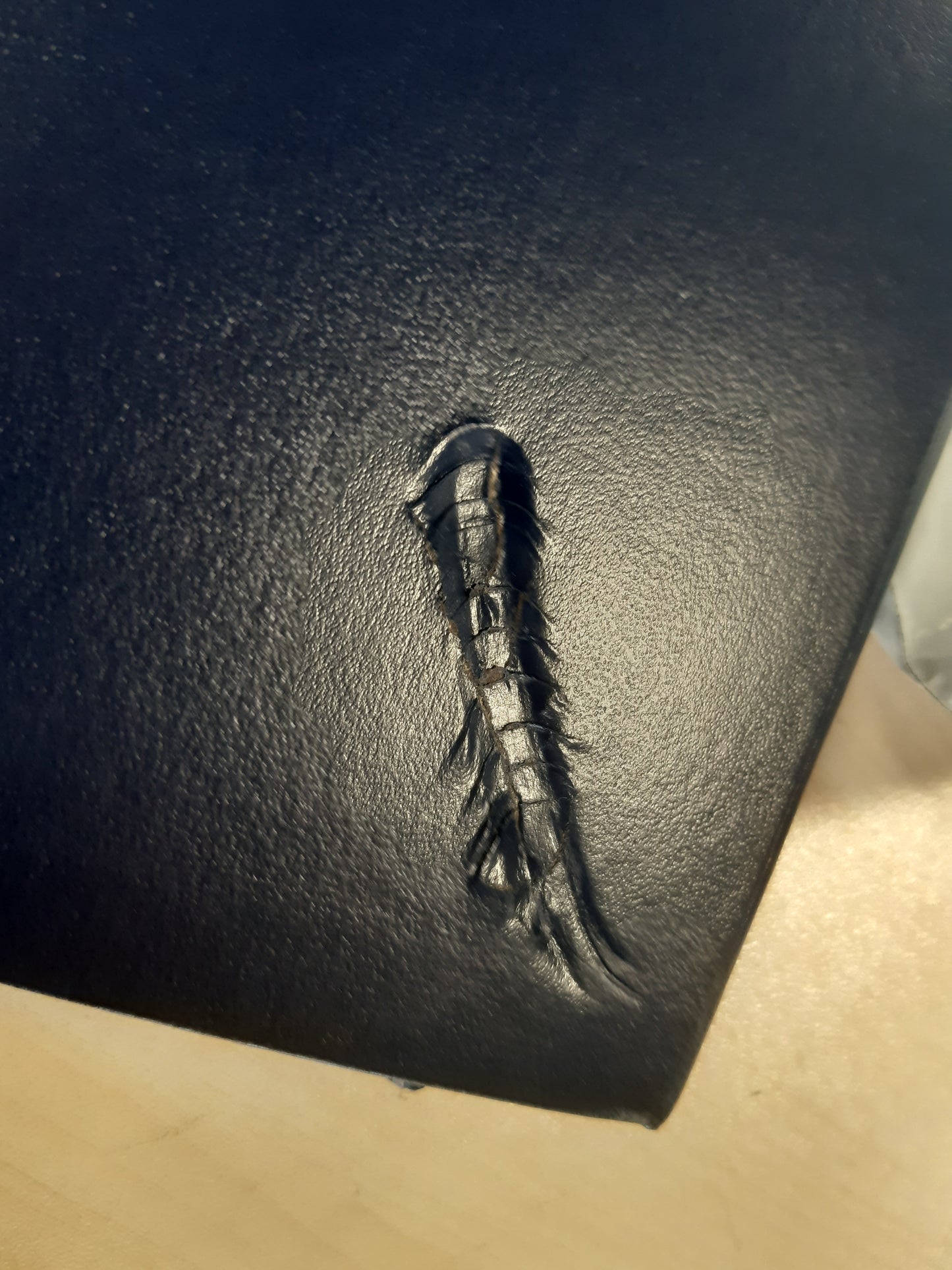 189172 - LEUCHTTURM1917 - Fletore Kryesore (A4+) me Kopertinë të Fortë, 235 faqe të numëruara, Blu Deti, Materiali: Rrjetë