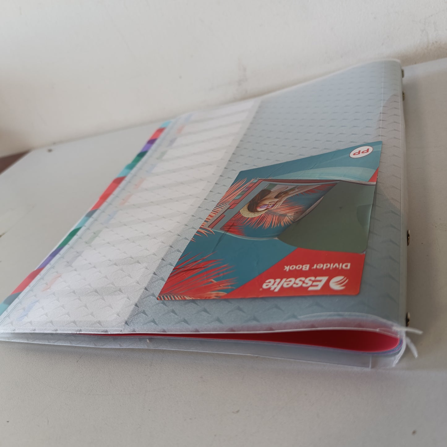 269443 - Esselte Organizues Dokumentesh A4 me 12 Ndarje, Mbulesa Plastike Transparente, Shtëpi/Zyrë, Model me Teksturim, Gama Colour'Breeze, 626256