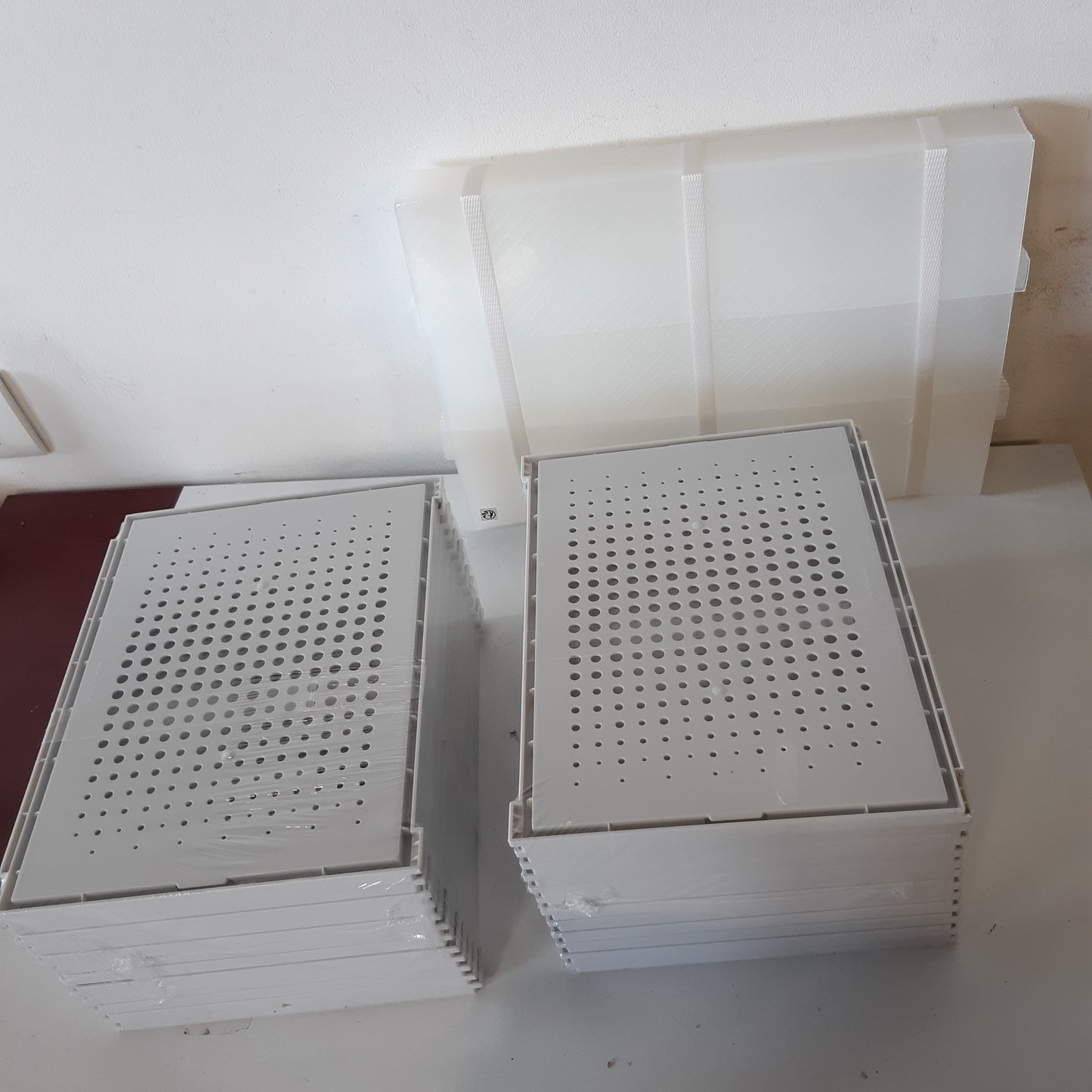 221818 - SONGMICS Kuti plastike për këpucë, Set me 12 organizues, e palosshme dhe e grumbullueshme, për atlete deri në madhësinë 46, Transparente dhe e bardhë LSP12MWT