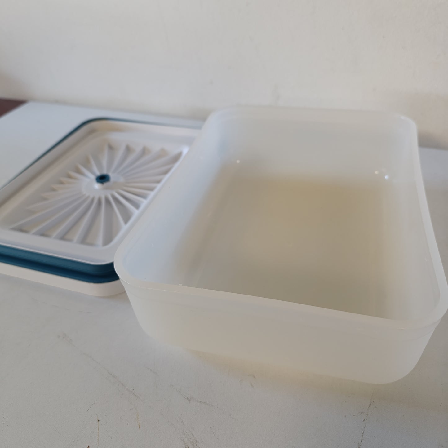 221881 - ZWILLING - Enë me vakum Fresh & Save, M, Qelq, La Mer