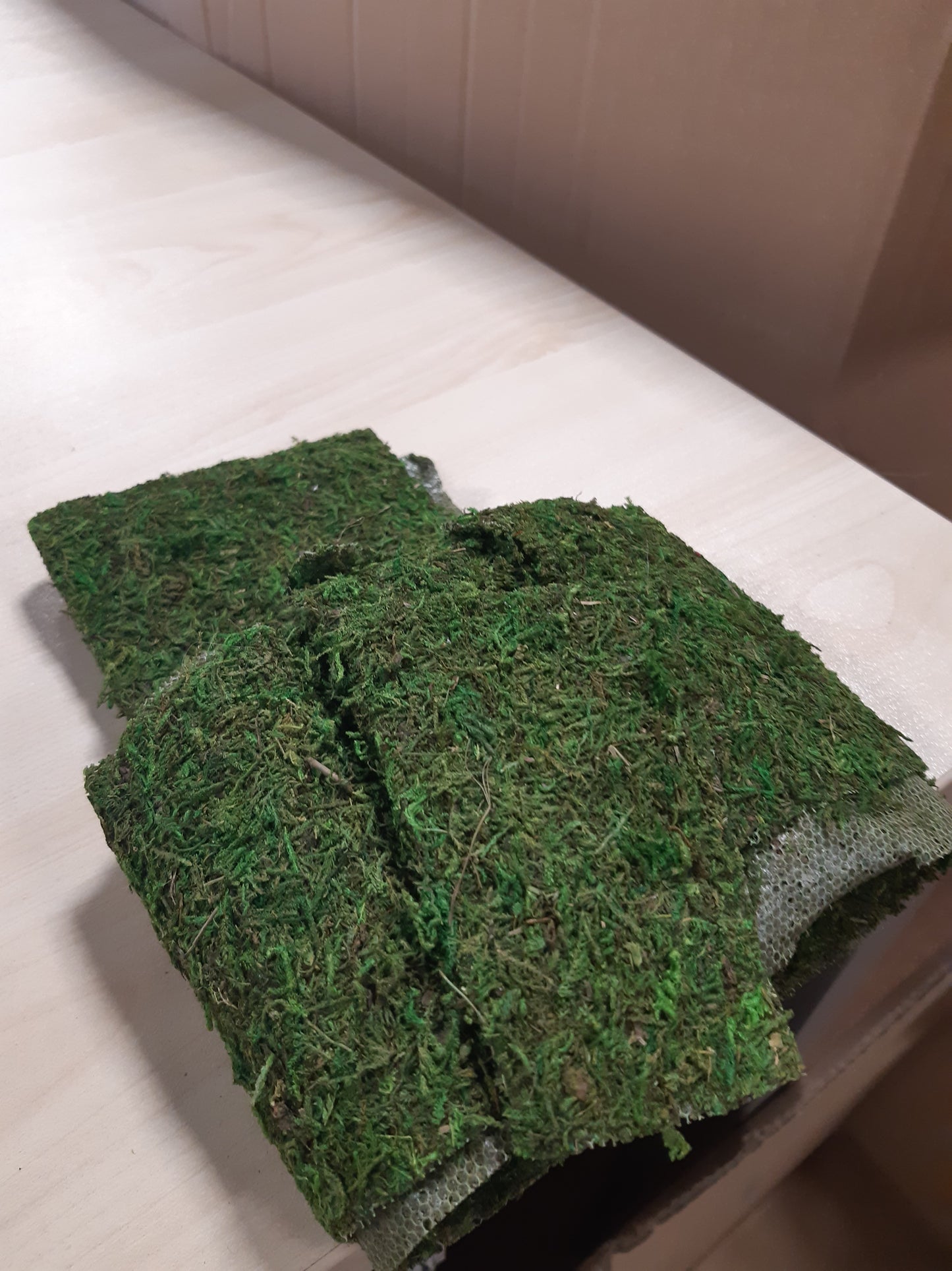 210996 - RAYHER Shirit Myshku, 10 cm Gjerësi, 200 cm Gjatësi, Modeli 5531800