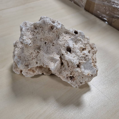 198470 - SERA - Gurë me Vrima Rock Hole Stone, Ngjyrë Bezhë me Sipërfaqe të Lëmuar, Madhësi L, Pesha 2-3kg