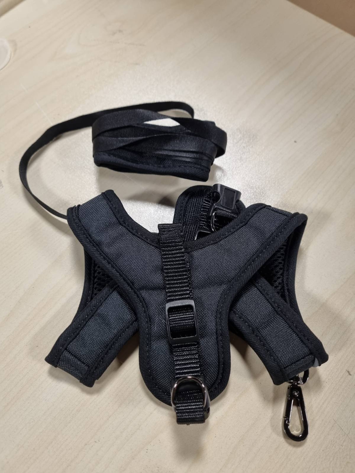 215559 - TIERHOOD Set rripash për macet me zinxhir për liri të kontrolluar, rrip i butë, i rehatshëm, i rregullueshëm dhe i fortë për macet aktive (i zi, M)