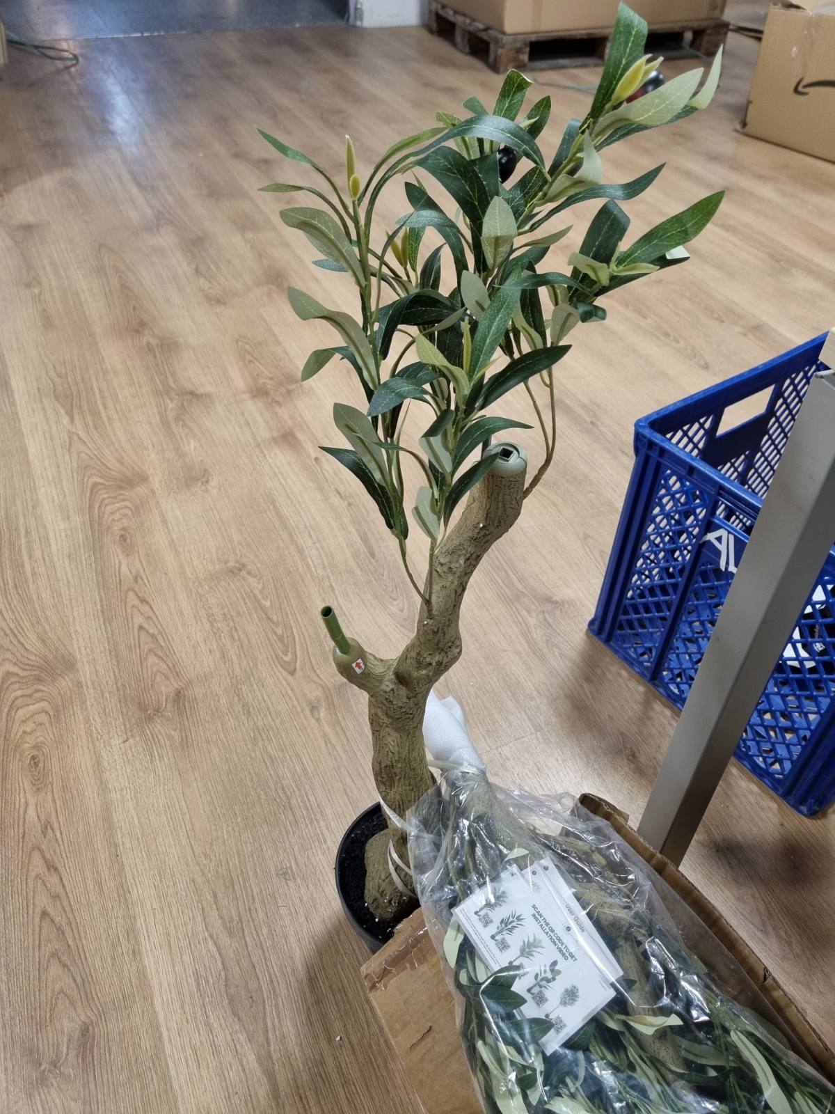 255179 - VERINATURAL Bimë ulliri artificiale 150cm e rreme për përdorim të brendshëm dhe të jashtëm me 1012 gjethe dhe 48 fruta, Pemë dekorative rezistente ndaj rrezeve UV me degë të rregullueshme në vazo të zezë