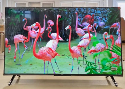 272600 - TCL 43T69C 43 inç QLED Televizor LED 4K HDR, Smart Google TV, Dolby Vision & Atmos, Game Master, Motion Clarity, i pajtueshëm me Google Assistant dhe Alexa