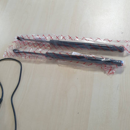 313913 - FRANKBERG 2x Amortizator me Sustë Gazi, Kapak i Pasëm 132531