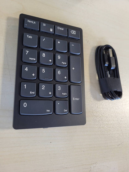 319649 - LENOVO Tastiera numerike pa tel Go, gri