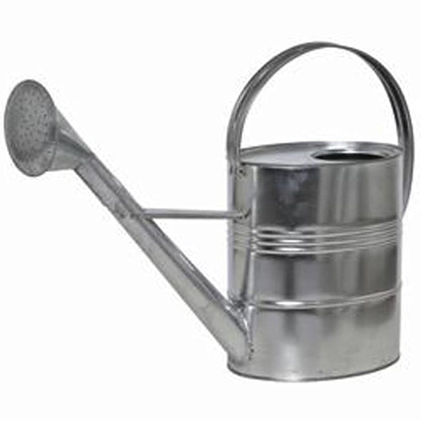 322443 - SIENA Kopsht ujitës 10L, i galvanizuar, 395240, argjend
