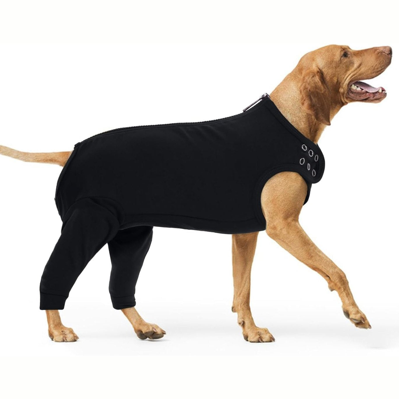 251322 - PUMYPOREITY Kostum Mbrojtës Plagësh për Qen, 2XL, Trup Pas Sterilizimit, Mbrojtëse Bërrylash, Mbrojtje me Zinxhir për Këmbët e Prapme, Mbështetëse Qafe, Mbrojtëse Këmbësh, Mbrojtëse Gjunjësh, Mëngë Rimëkëmbjeje