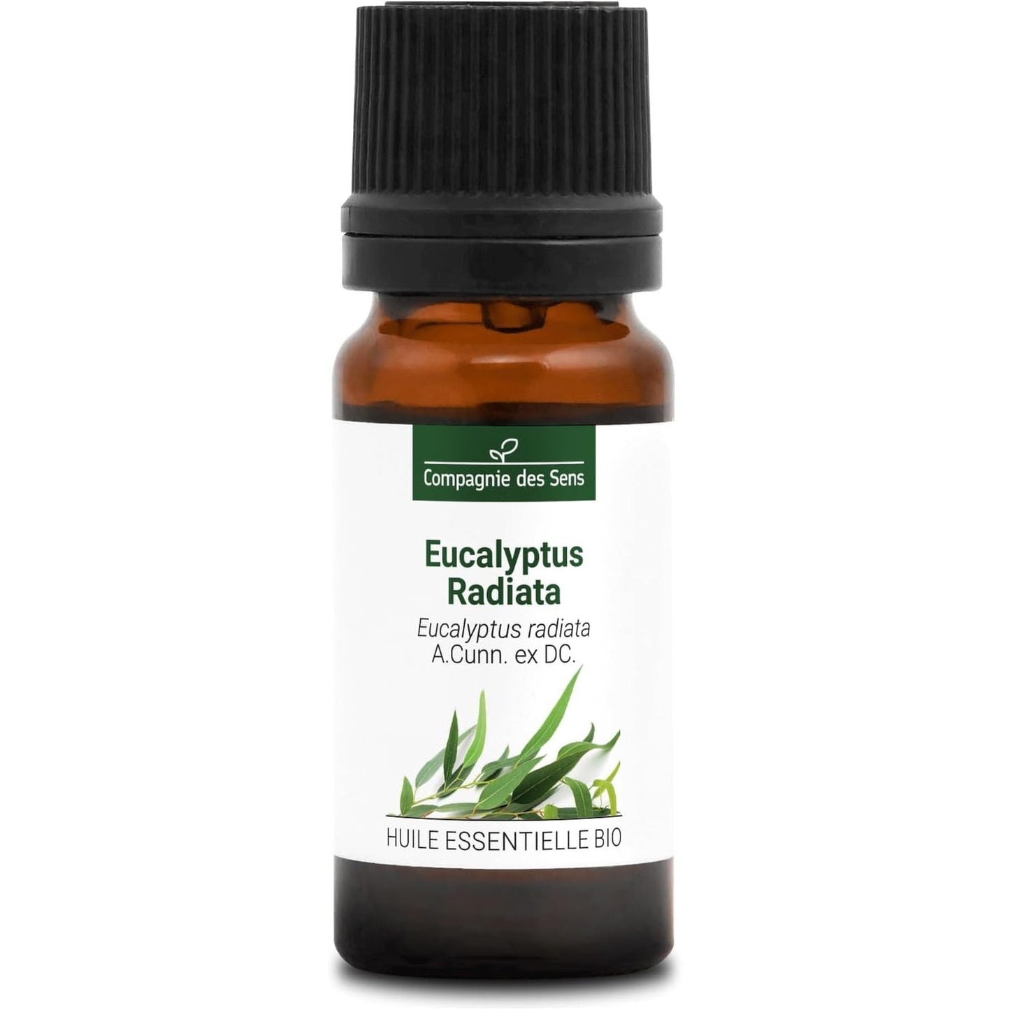 290544 - EUCALYPTUS RADIATA Vaj esencial organik, 100% i pastër, natyral, i çertifikuar ChromaCert®, Kimiotip & i plotë