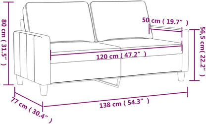 244720 - vidaXL Divan 2 Ulësesh prej ngjyre Gri – Stil Modern