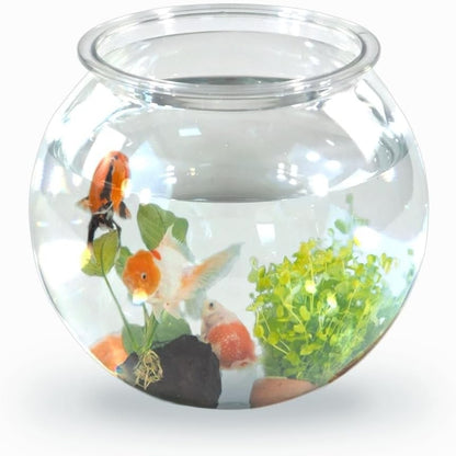 317860 - Mobiclinic® Tas për peshk, i rrumbullakët, Nemo, 4 litra, Plastik PET, 20x20x17.5 cm