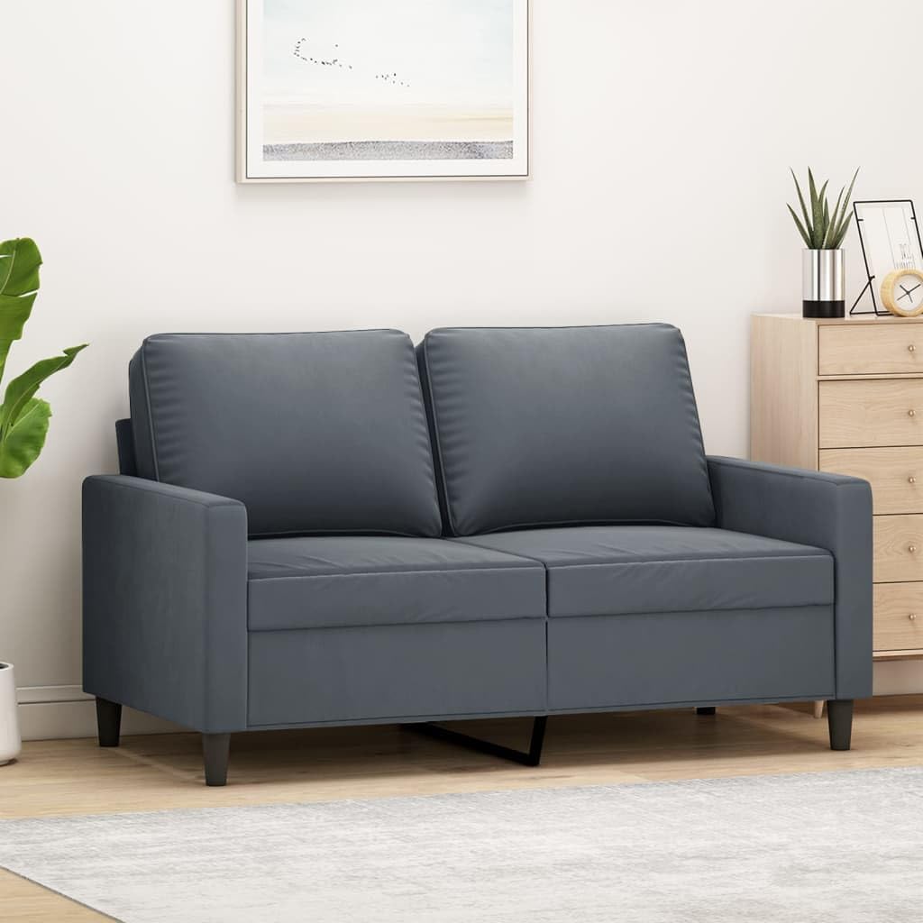 244720 - vidaXL Divan 2 Ulësesh prej ngjyre Gri – Stil Modern