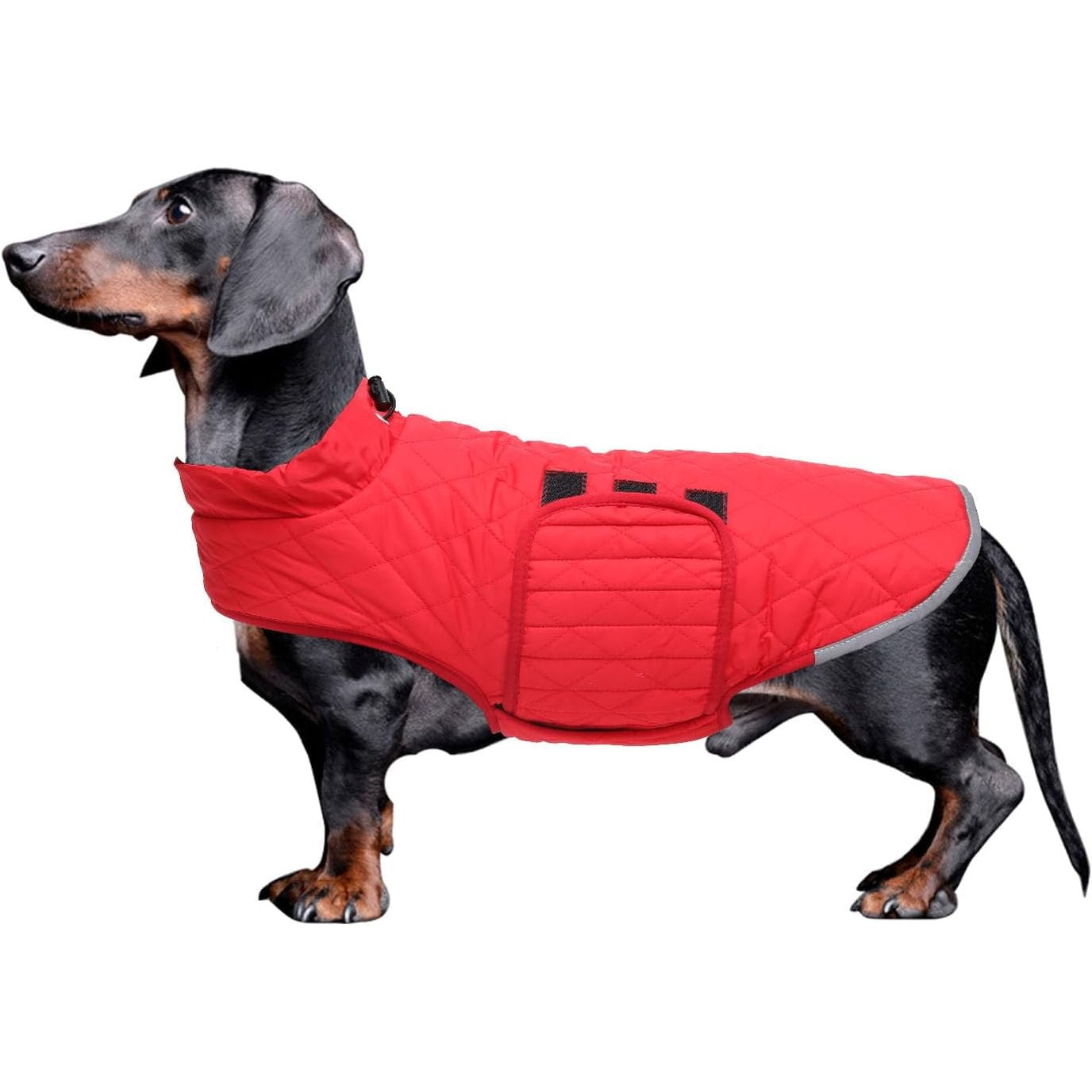 200340 - BABEPET Xhaketë Dimri për Qen të Vegjël me Formë Salçiçeje, Material i Papërshkueshëm nga Uji dhe Rreshtim prej Lëkure, Bluzë Reflektuese me Vrimë Parzmore, Madhësia L, Ngjyra E kuqe