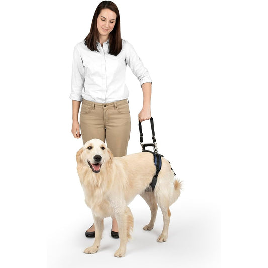 201145 - PETSAFE CareLift Rrip Ngritës i Pasmë për Qen të Madh, me Aftësi të Kufizuara ose të Moshuar - Ngritje me Dorezë dhe Rrip Shpatullash, Material i Frymëmarrshëm dhe i Rehatshëm, Rregullim i Lehtë