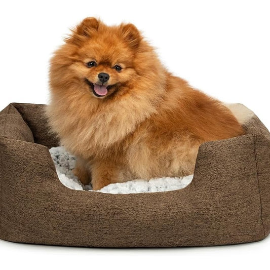 209298 - LIONTO - Shportë Qensh me Jastëk të Butë dhe të Kthyeshëm, Krevat për Kafshë Shtëpiake me Dizajn me Njolla, Hyrje e Ulët, për Qen dhe Mace të të Gjitha Madhësive, 60x50 cm, Kafe