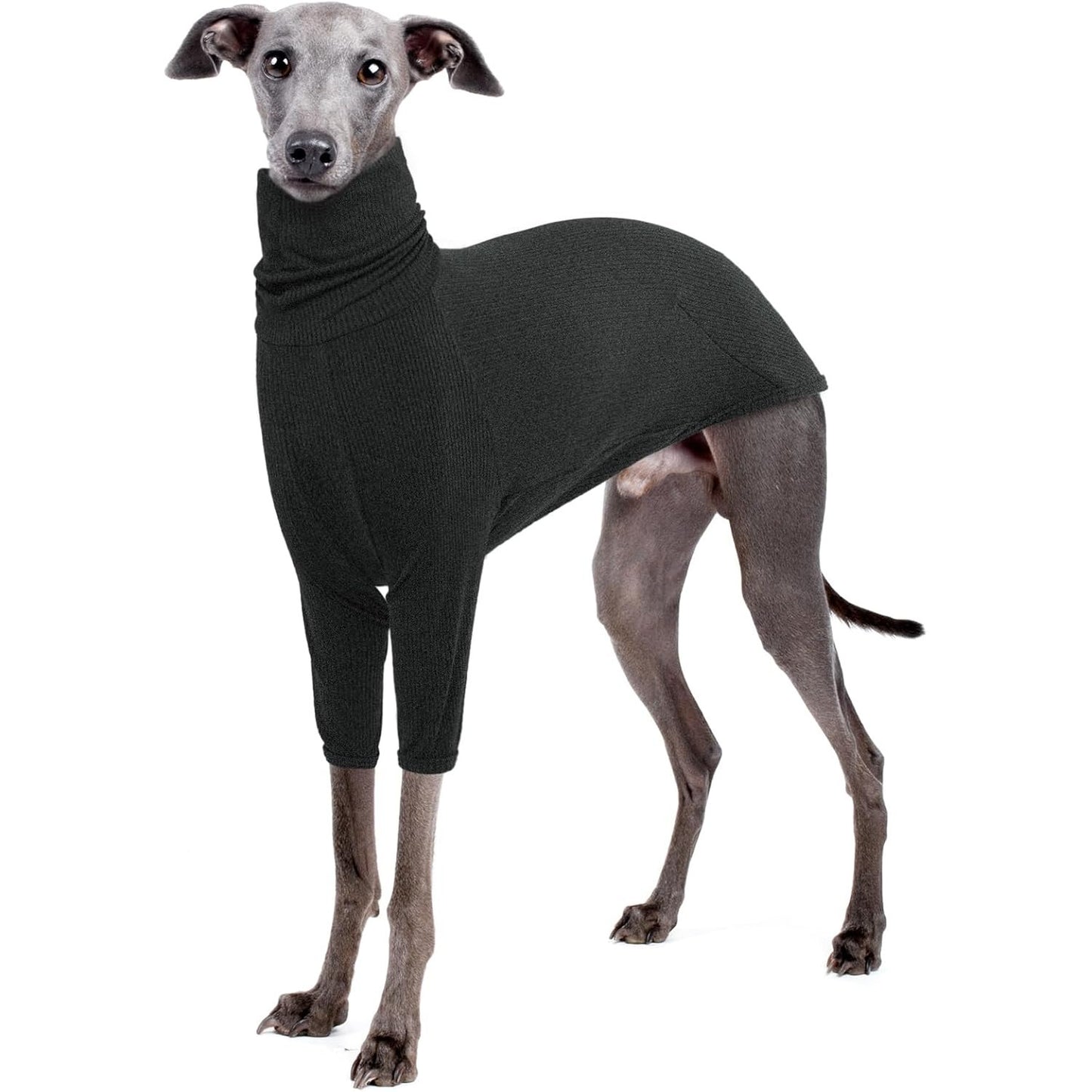 219447 - IECOii Triko me jakë të rrumbullakët Greyhound, Pizhama termike për mot të ftohtë, Triko me kapuç për qen të mëdhenj