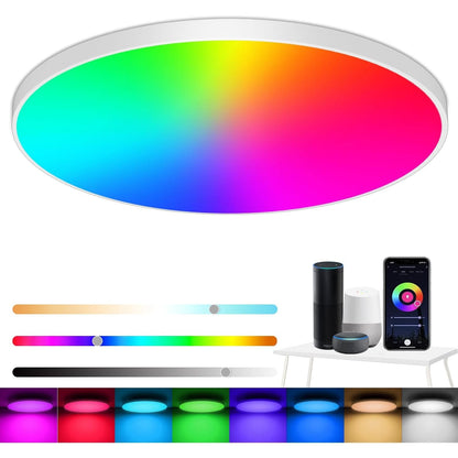 197057 - EREGOU Dritë Tavani LED 24W, 2400LM, e Errësueshme, RGB Inteligjente, e Pajtueshme me ALEXA dhe ASISTENT GOOGLE, IP44 për Dhomën e Ndenjës dhe Llambë Gjumi, 2700K-6500K