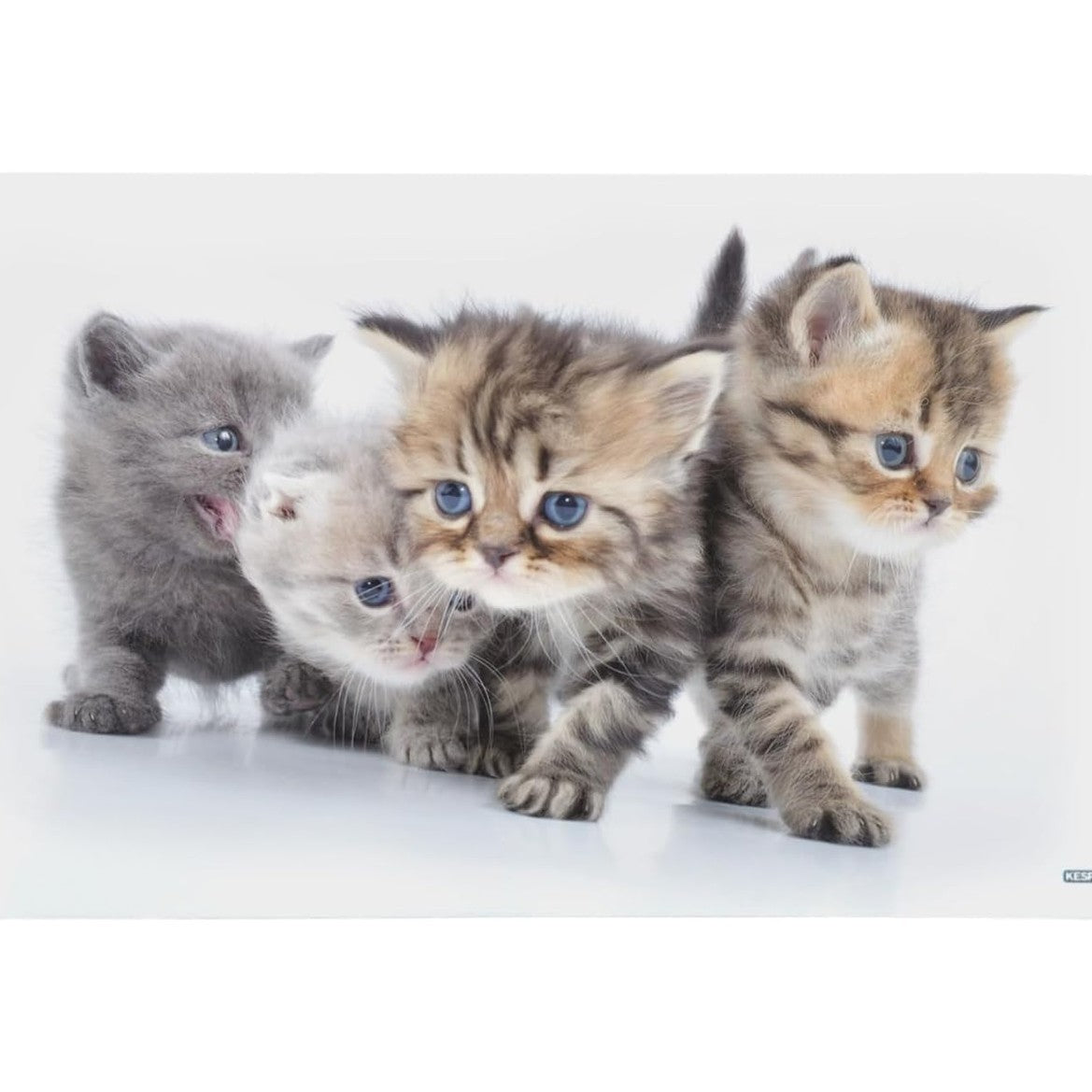 248460 - KESPERS Dërrasë mëngjesi 31220 CAT e bërë nga melaminë, dërrasë ushqimesh të lehta, dërrasë buke