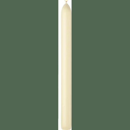 230085 - BOLSIUS Qirinj Smooth Taper - Ngjyrë Fildhi - 7 copë - 24 cm - Koha e djegies 8 orë - Pa aromë - Dyll natyral bimor - Pa vaj palme
