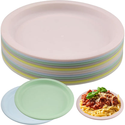 263725 - SET PJATASH PLASTIKE DUISOAD ME 12 PJESË, 19 CM, PJATA TË SHESHTA DARKË TË RIPËRDORSHME