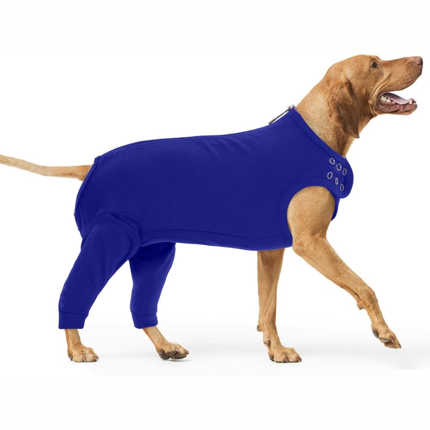 214088 - PUMYPOREITY Kostum Mbrojtës Plagësh për Qen, Trup Pas Sterilizimit, E Zezë, 3XL