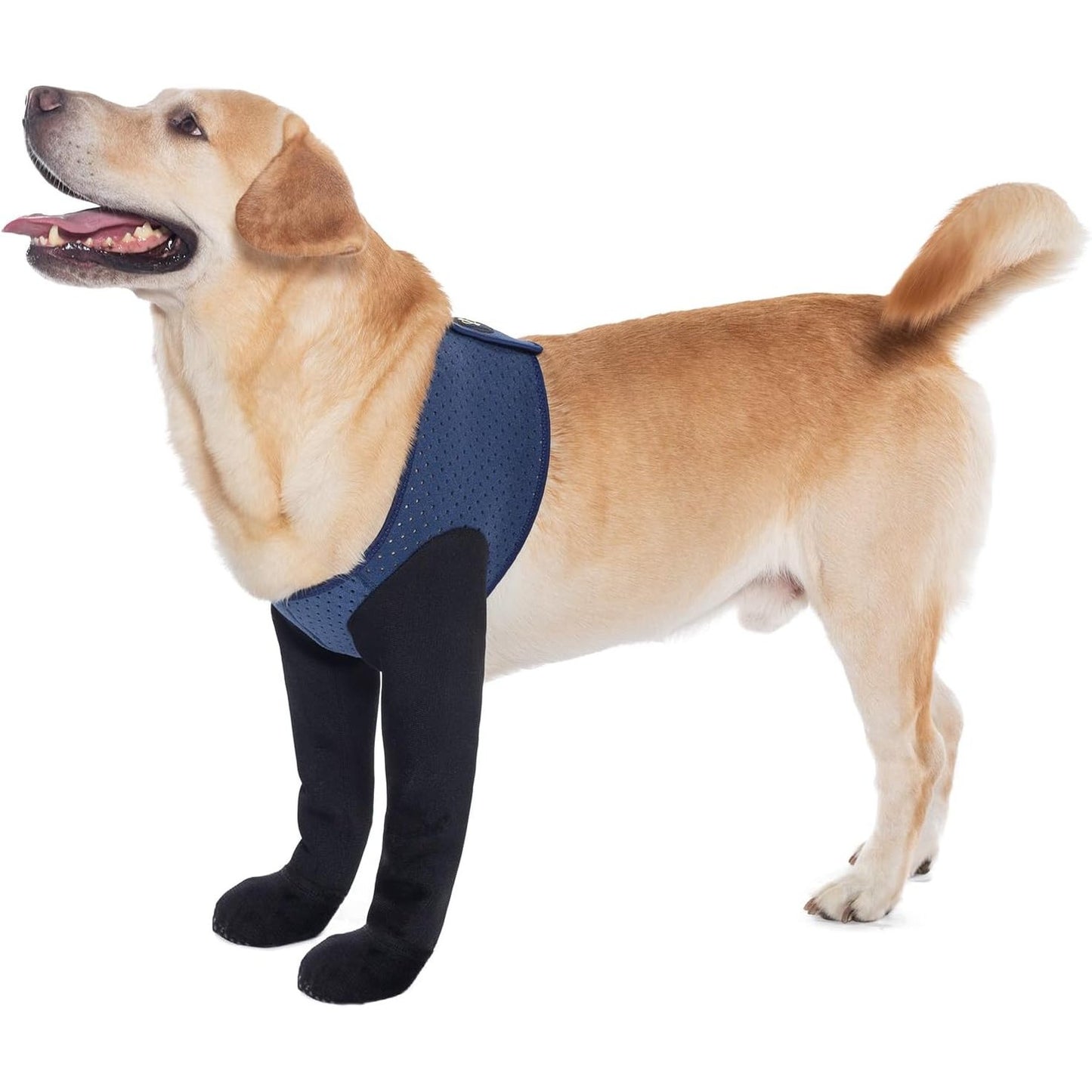 197156 - COODEO Çorape Blushe Anti-Lëpirje për Qentë, Mbrojtëse Plagash Anti-Rrëshqitje, Çizme Anti-uji, Mbrojtje Pas-Operacioni, Madhësia M, Blu