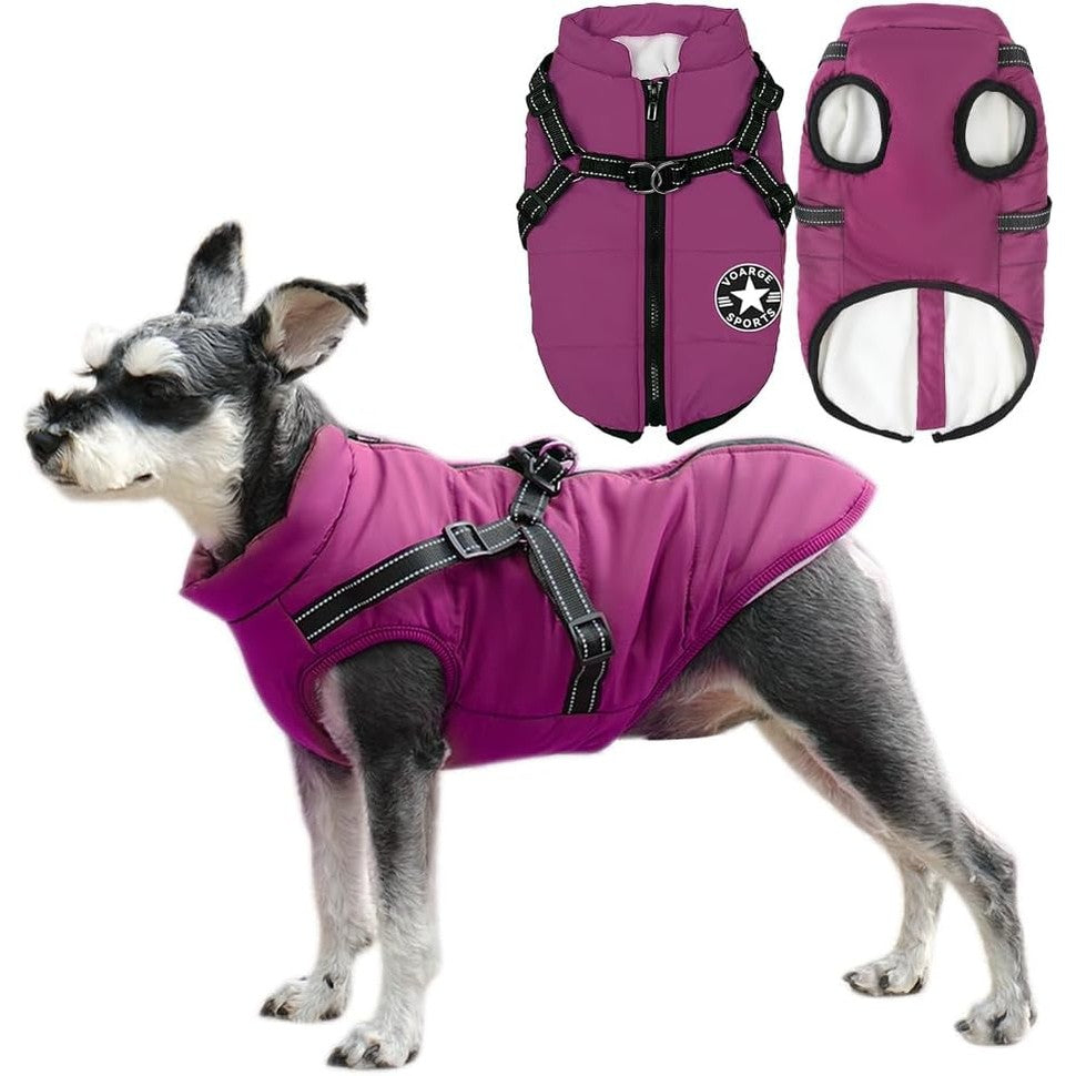 201289 - VOARGE Xhaketë Dimërore për Qen të Vegjël, E papërshkueshme nga uji, Material i lahet në lavatriçe, Dizajn me Vija Reflektuese dhe Unazë D e Qëndrueshme, Madhësia M (Vjollcë)