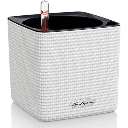 164925 - LECHUZA - Tabaka Mbjellëse, Dimenzionet 14x14x14cm, Ngjyra e Bardhë