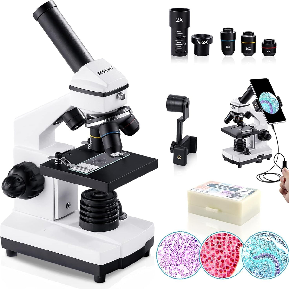 299041 - BEBANG Mikroskop 100X-2000X për fëmijë dhe të rritur, Biologjikë Profesionalë, për Studentë, Laboratorë Shkollorë, Përdorim në Shtëpi