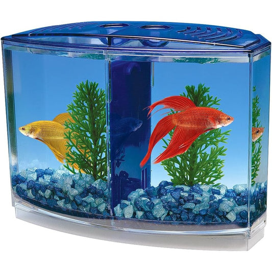 202435 - PENN-PLAX Kitakuarium Betta dyfishtë blu/jeshil me Hark të Paqartë në Faqen e Para, Matje 19cm mbrapa, 15cm para
