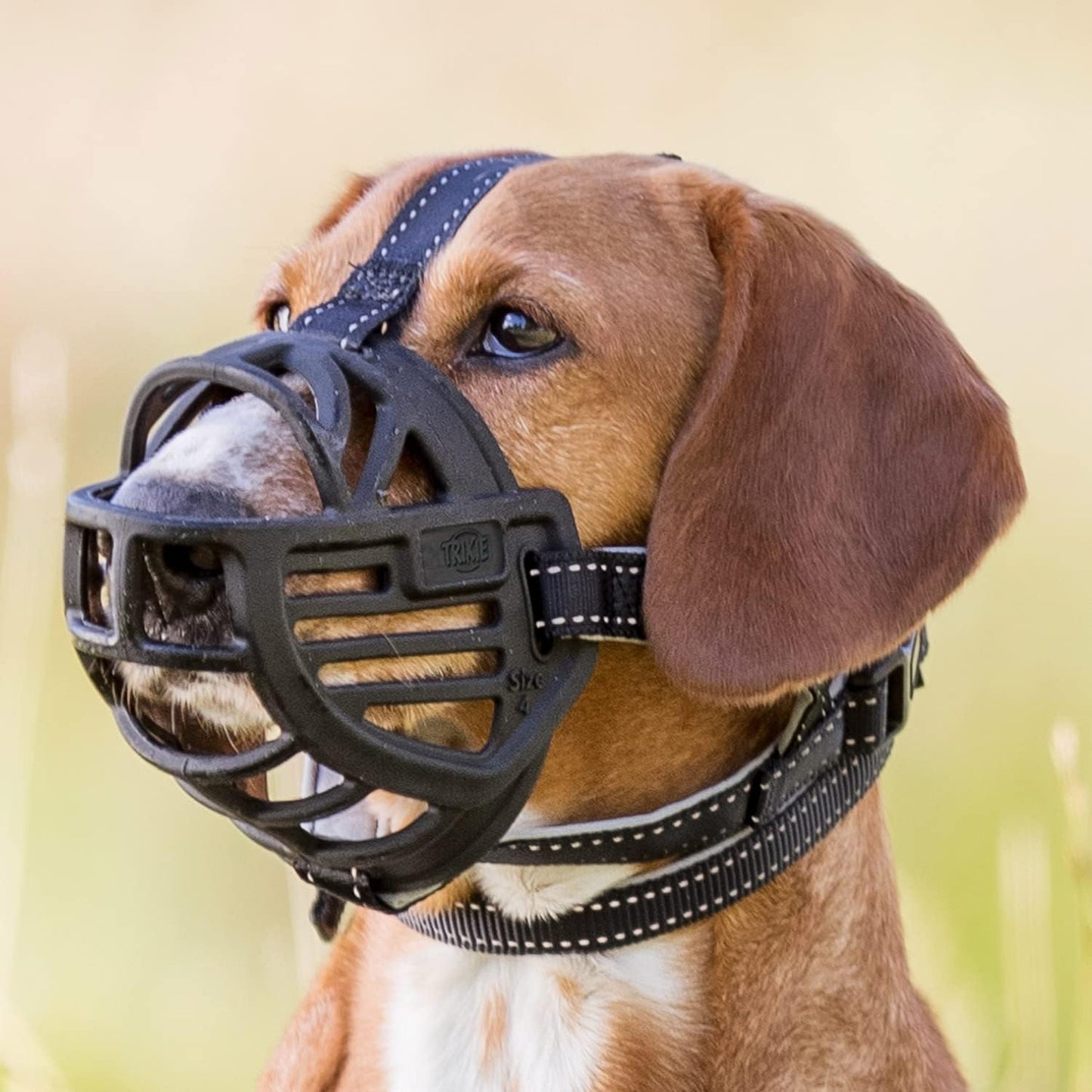 219293 - TRIXIE Silikoni për grykë Flex Muzzle
