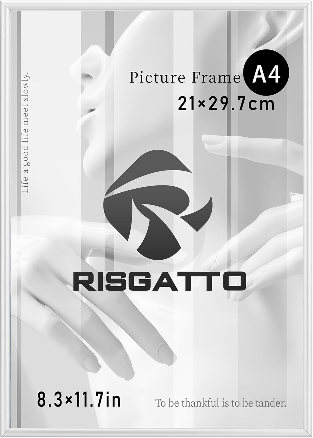 228581 - RISGATTO Kornizë fotografie DIN A3 (30x42 cm), Alumini me xham akrilik shumë transparent, Argjendi