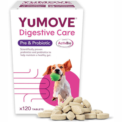 205155 - LINTBELLS YuMOVE, Suplement Prebiotik dhe Probiotik për Qen, për Shëndetin e Zorrëve, Mbështetje Tretjeje për çdo Mosha dhe Raça, 120 Tableta - Paketim i Mjedisor, Gati për Postë