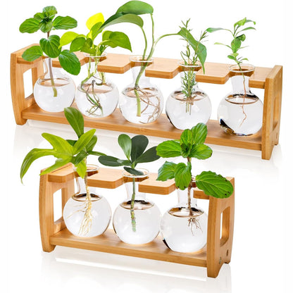 252629 - PUMTUS Stacione Përhapjeje Bimësh, 2 Pako, Terrarium Bimësh, Vazo Bimësh Hidroponike me 7 Qelqe