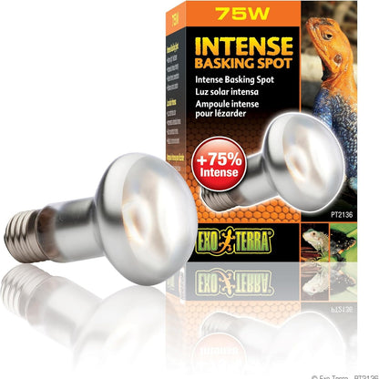 216667 - EXO TERRA Intense Basking Spot, llambë me nxehtësi, R20, 75W, prizë E27