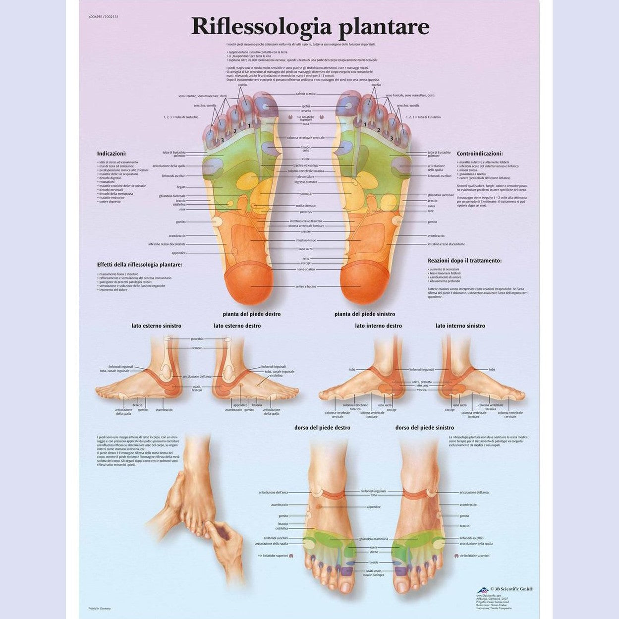 189414 - 3B SCIENTIFIC - Poster i Laminuar për Refleksologjinë e Këmbëve, i Mbrojtur nga Rrezet UV dhe Pluhuri, për Studim, Mësimdhënie dhe Përdorim Klinik