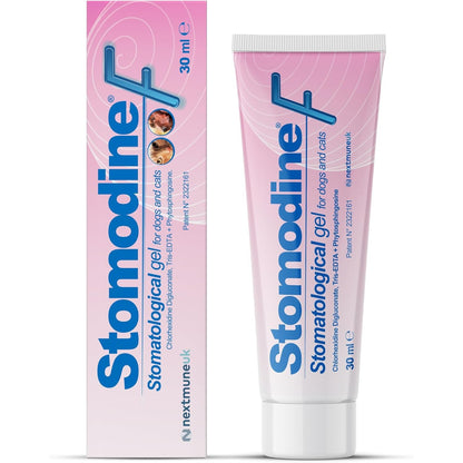 216416 - ICF Stomodine F | Xhel higjiene orale për qen dhe mace, lufton pllakën, gurëzat dhe erën e keqe të gojës, 30 ml