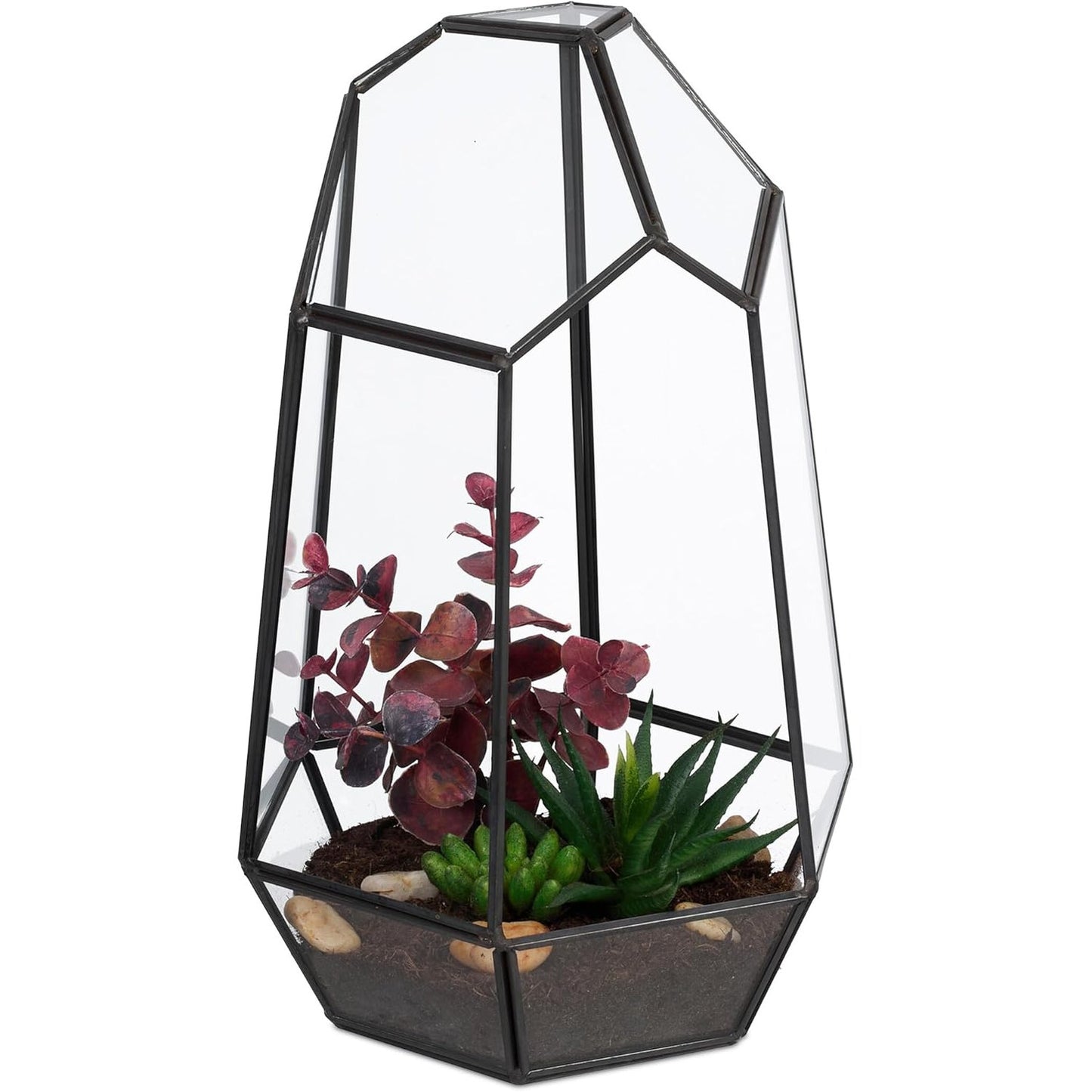 196179 - RELAXDAYS Terrarium me Bimë, Ndërtuar nga Qelqi & Kallaj, Shtëpizë Dekorative për Kaktus & Myshk, Kuti e Hapur Qelqi për Prag Dritareje, Ngjyra E Zezë