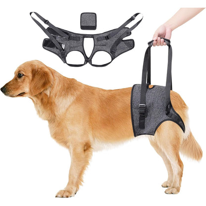 211181 - NDIHMË PËR TRANSPORTIN E QENVE - Rrip Ngritës për Qen të Madh në Ngjyrë Gri, Rregullueshëm, i Përshtatshëm për Këmbët e Prapme të Qenve të Moshuar dhe të Lënduar, Madhësia L