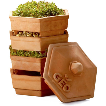 213251 - GEO Kit Rritjeje TerradiSiena Mbirës, kafe, 19x19x31 cm