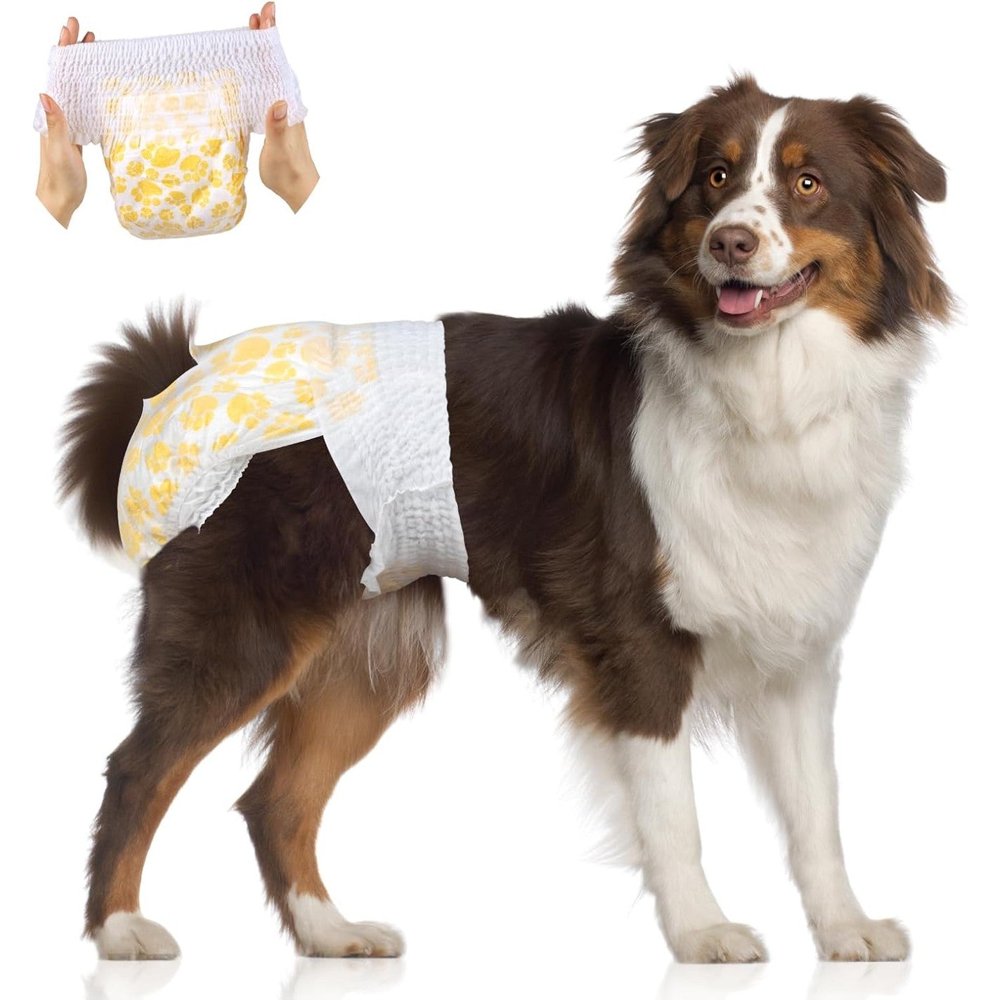 196050 - Flying Paws Pelena për Qen të Disponueshme, XL, Pako me 30 copë, me Brez Elastik 360° për Femra dhe Meshkuj