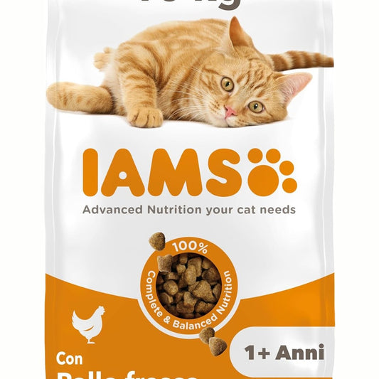 239421 - IAMS Ushqim i thatë për mace me pulë, për mace të moshës 1-6 vjeç, 10 kg