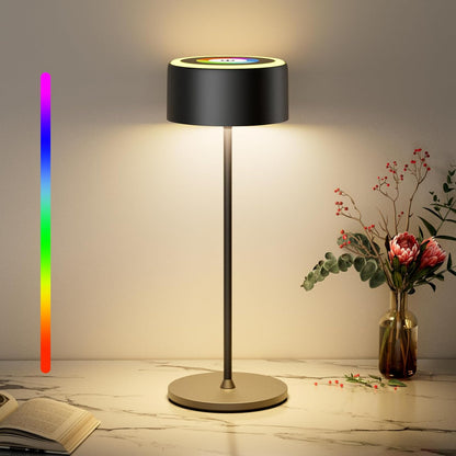 218555 - TYEE Llambë tavoline LED pa tel me errësim, 3000-6000K+RGB, rikarikueshme, IP54, gri