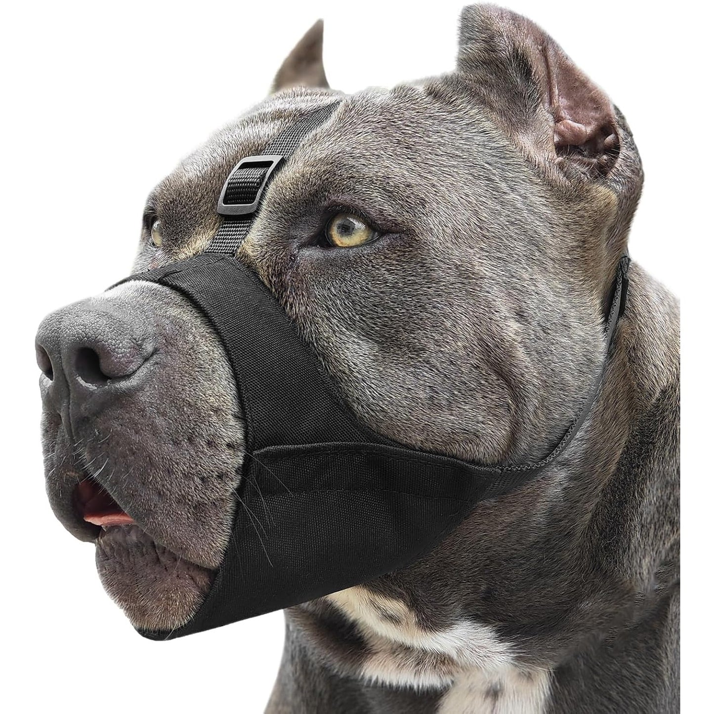 292990 - MAYERZON Surrat Pitbull, surrat i butë për qen, rrip anti-rrëshqitës, për American Bully, Bulldog, Boxer, Rottweiler, pëlhurë për surrat të mesëm dhe të madh, anti-kafshues, anti-përtypës